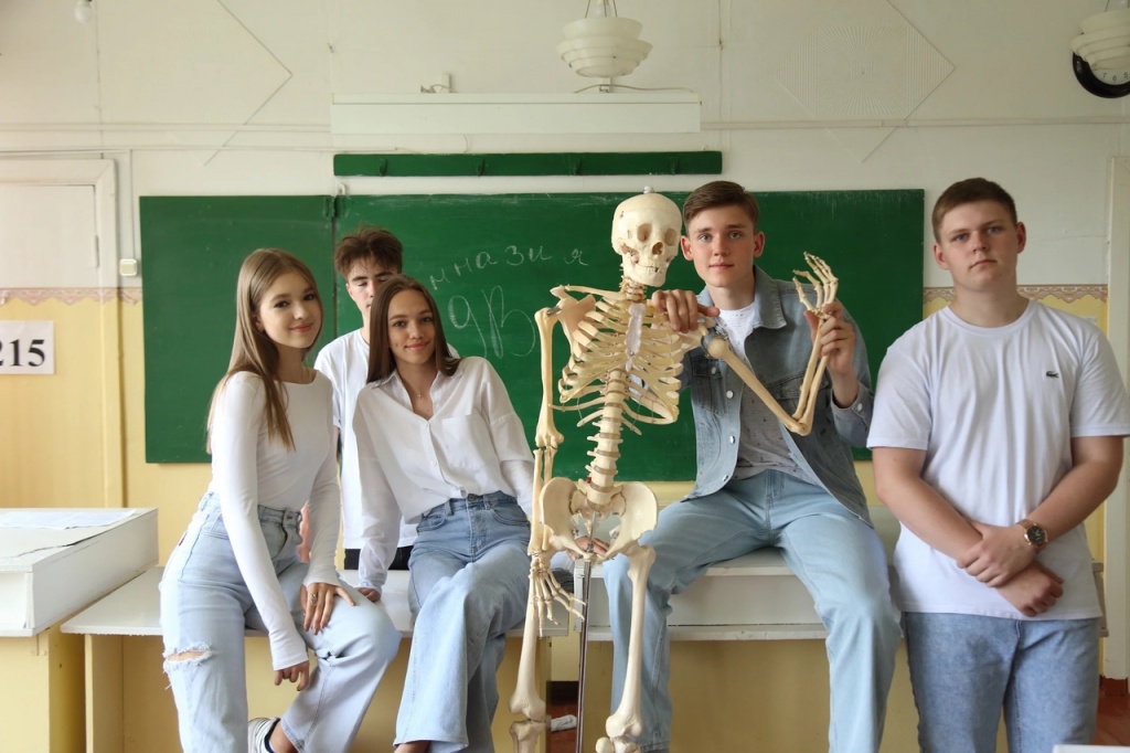 скел.jpg скел.jpg