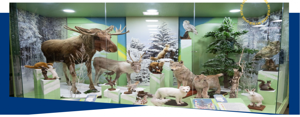 самой природой так заведено.png