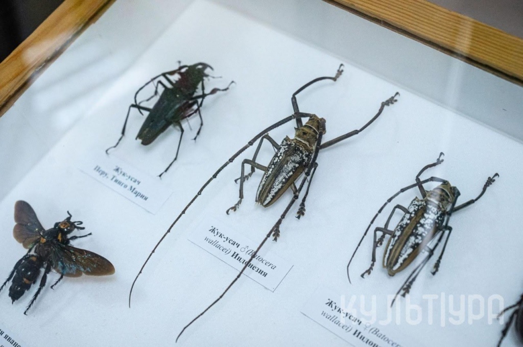 мал да удал 2.jpg мал да удал 2.jpg