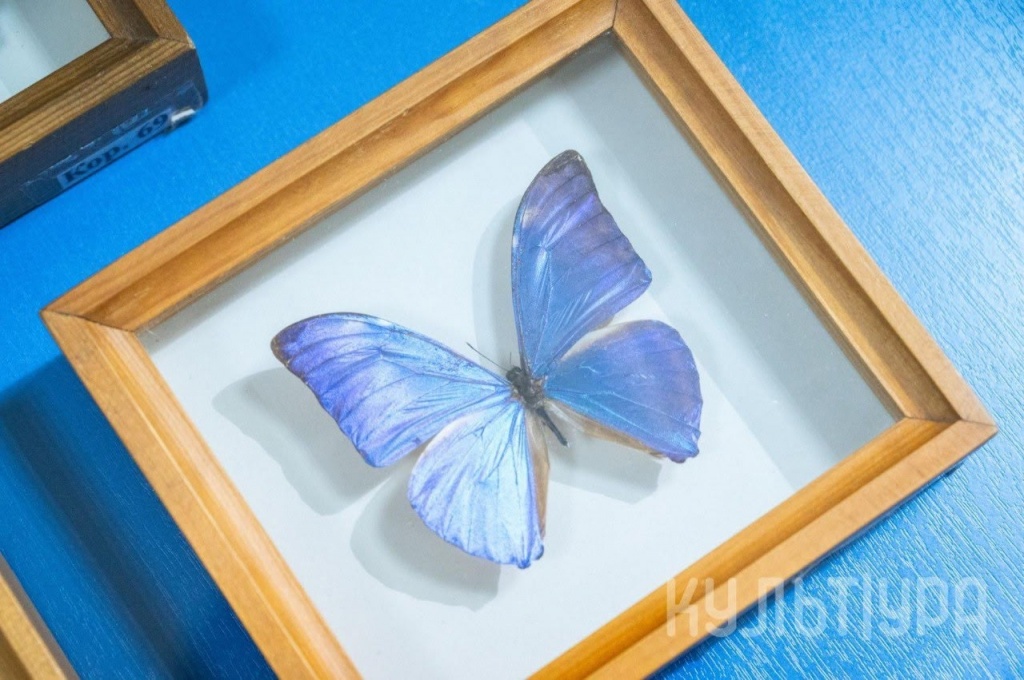 мал да удал 1.jpg