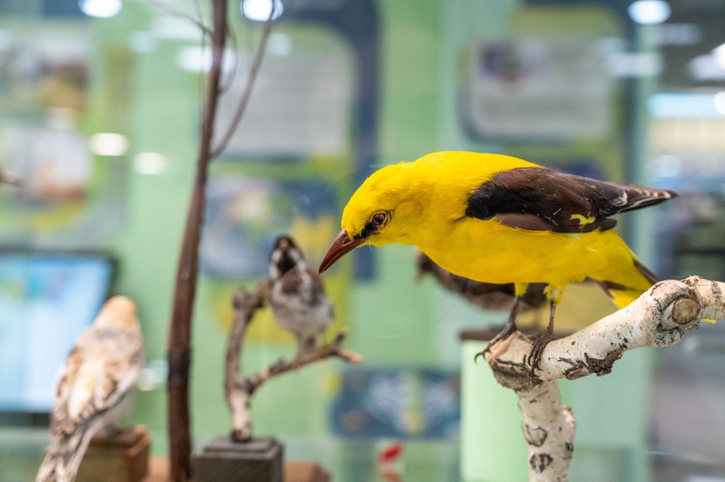 самой природой так.jpg