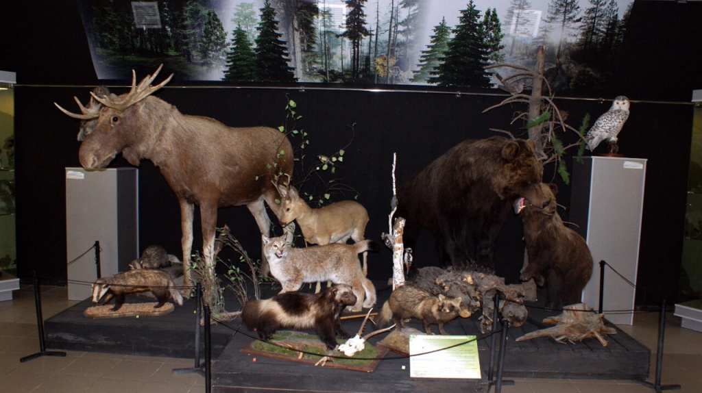 лицом к лицу.jpg