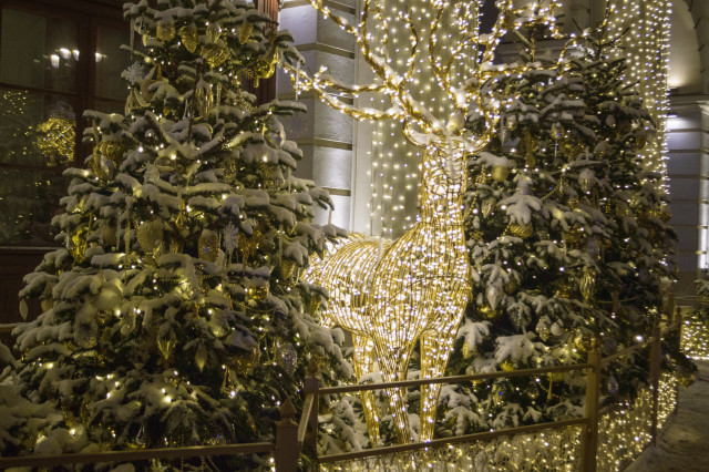 елка3натур.jpg елка3натур.jpg