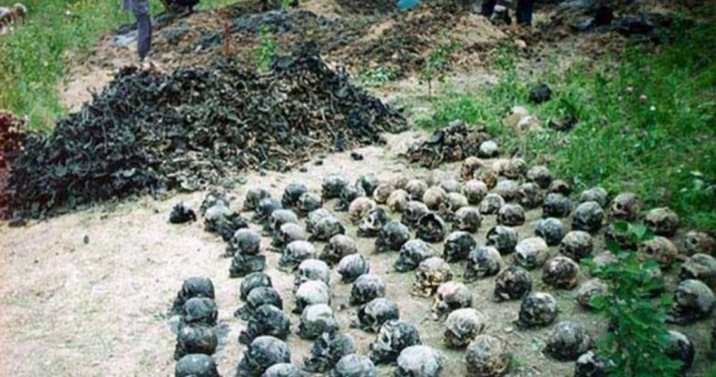 415b1163ca4efbf2ebbd2078922aa68c.png 415b1163ca4efbf2ebbd2078922aa68c.png