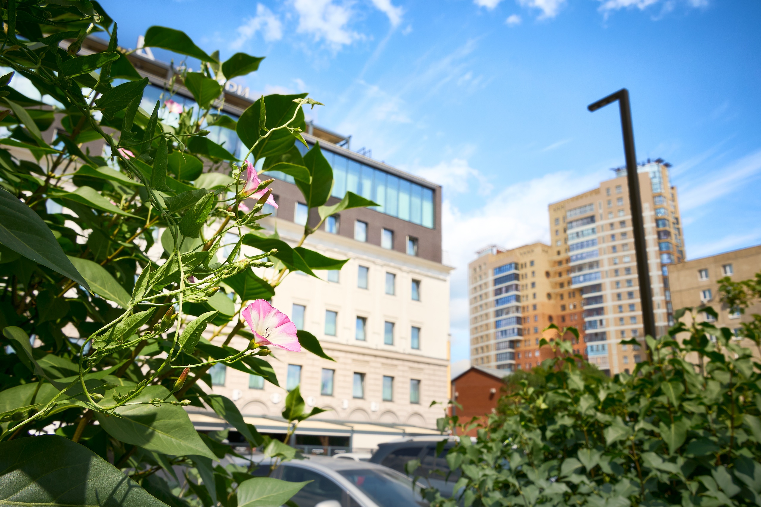 Куда пойти в Омске 25, 26, 27 и 28 августа