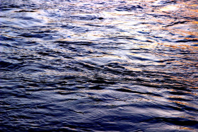 В Омской области из-за дождей под воду ушло около 300 участков и почти 30 домов