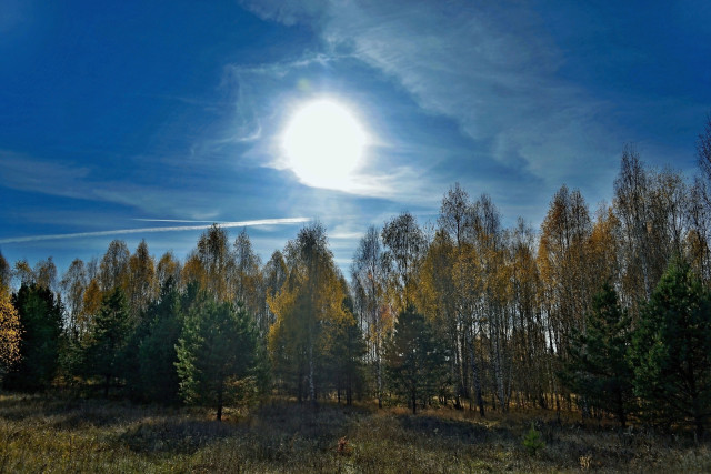 Землю накроет магнитная буря красного уровня