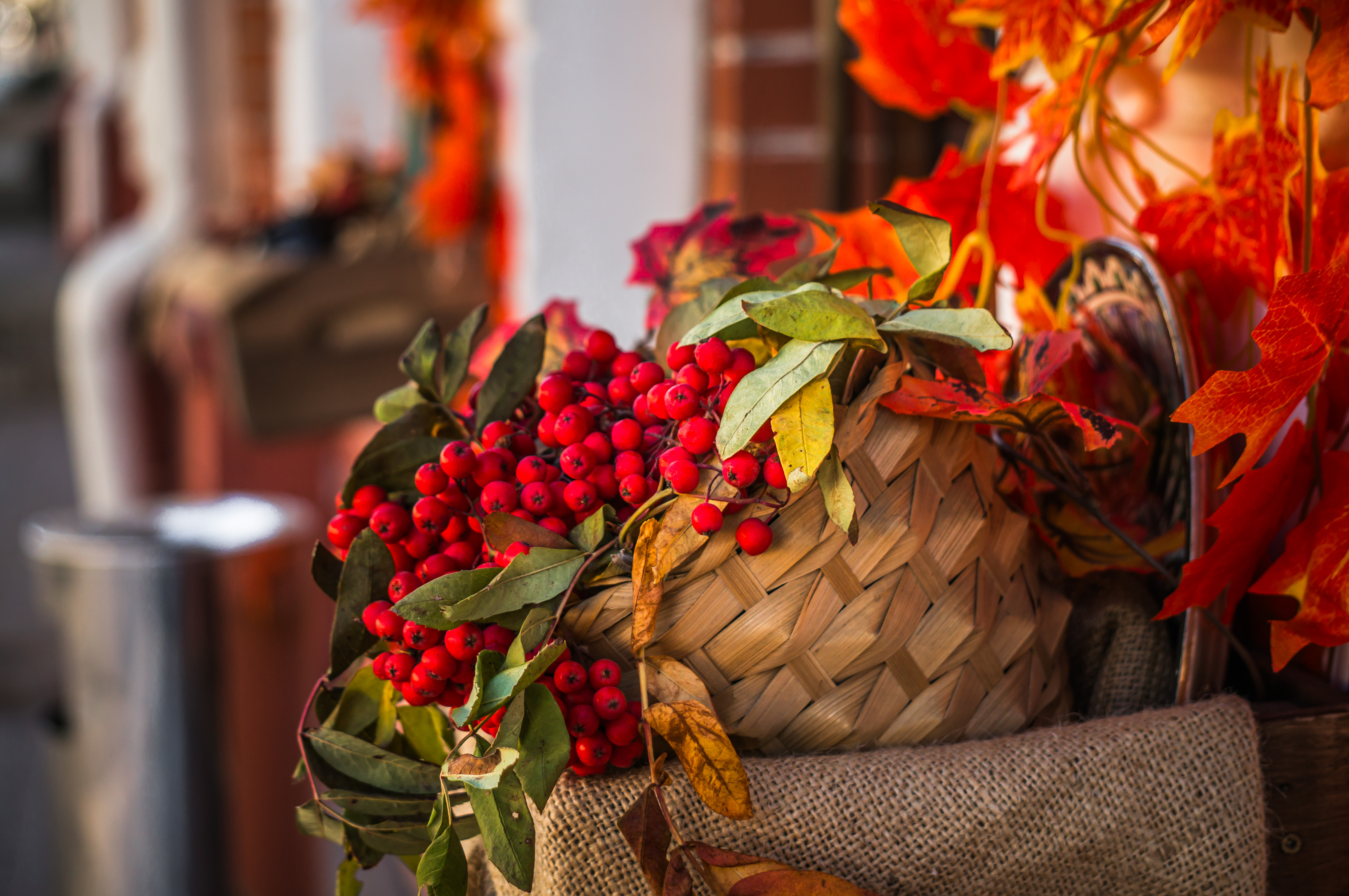 Куда пойти в Омске 15, 16, 17 и 18 сентября
