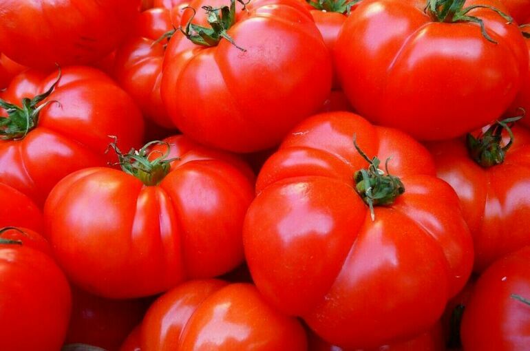 В России помидоры за неделю подорожали на 5,8%