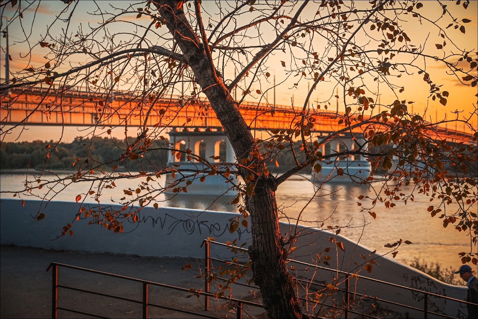 Куда пойти в Омске 20, 21, 22 и 23 октября