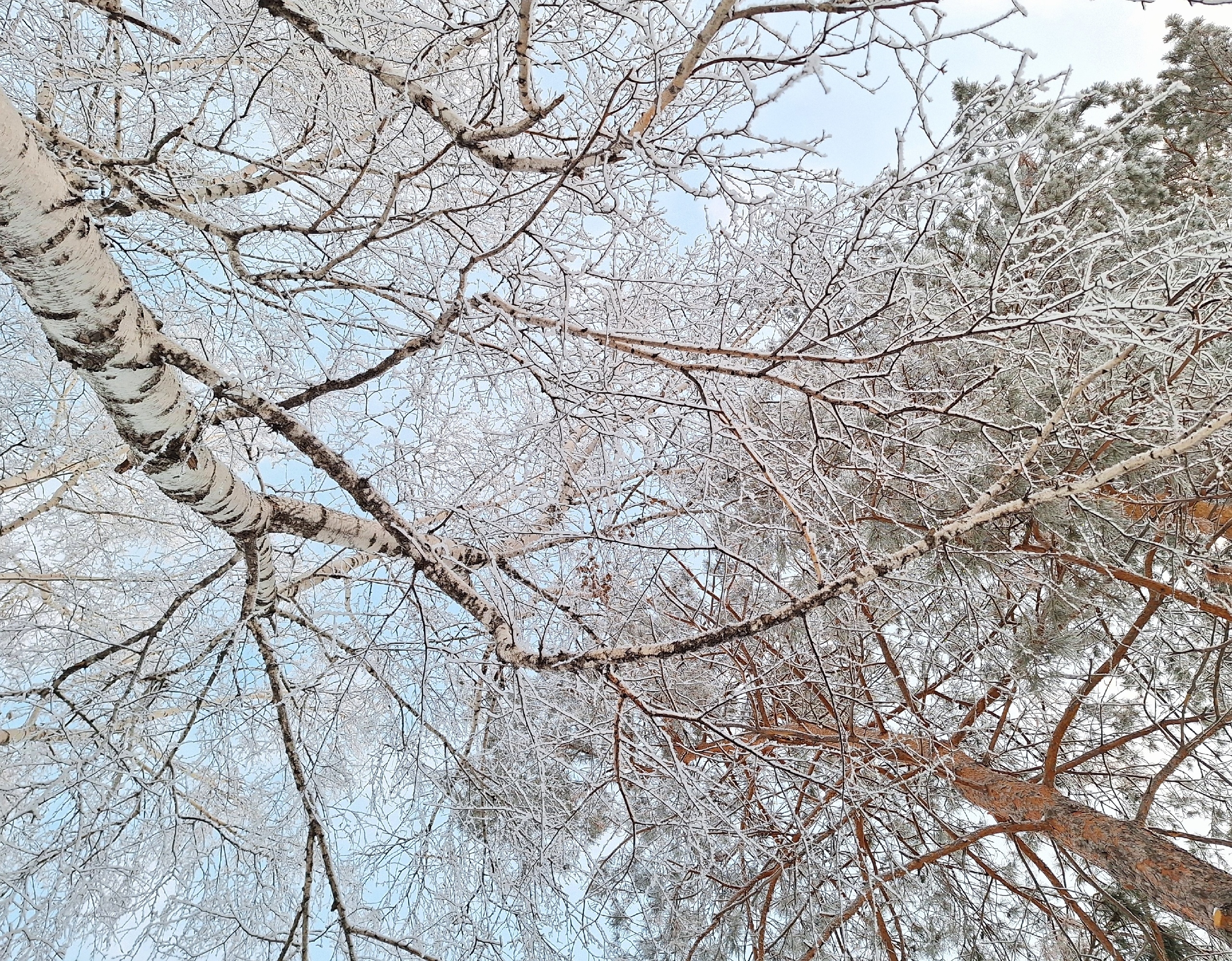 В Омской области ожидается трёхдневный снегопад