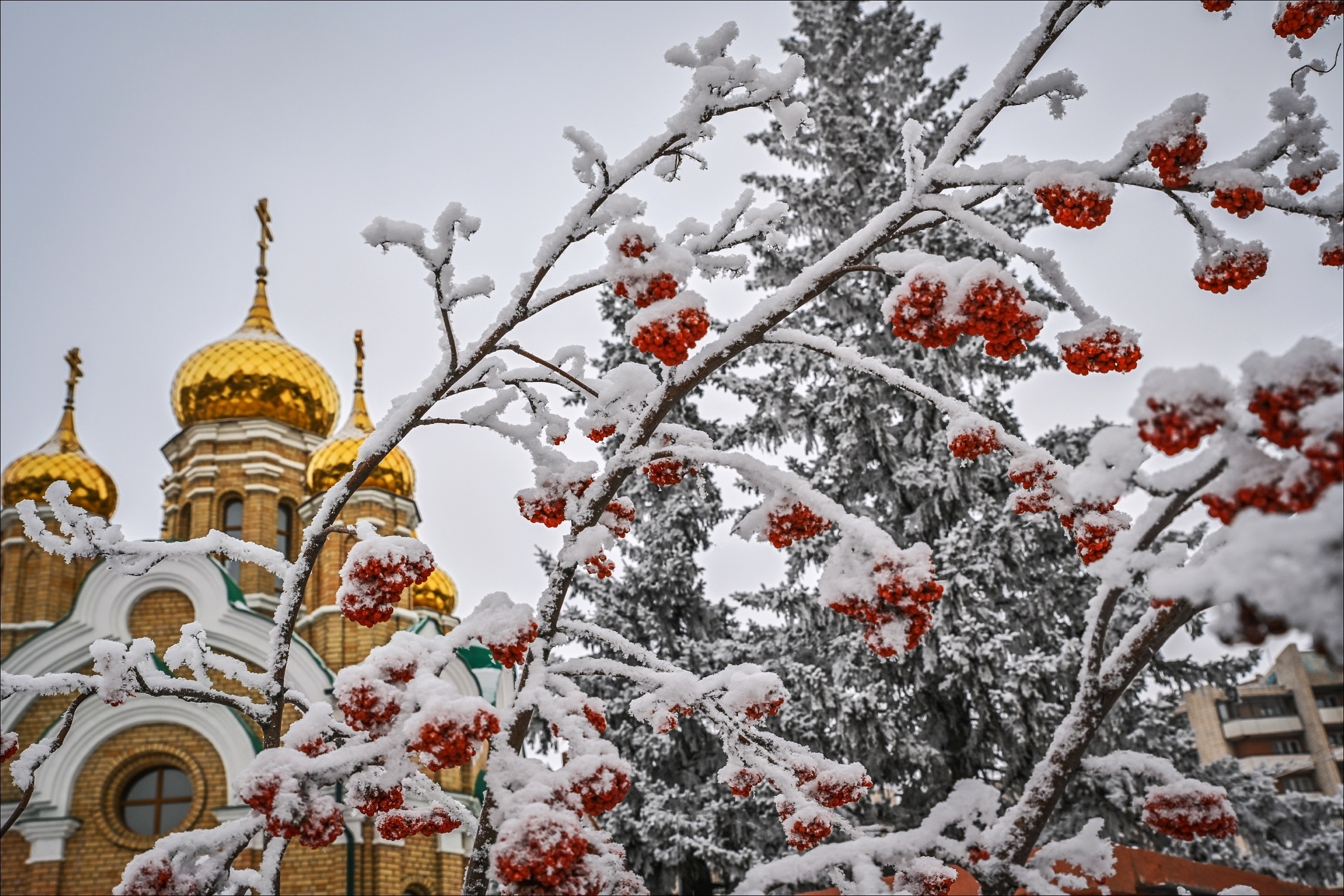 Куда пойти в Омске 2, 3, 4 и 5 февраля