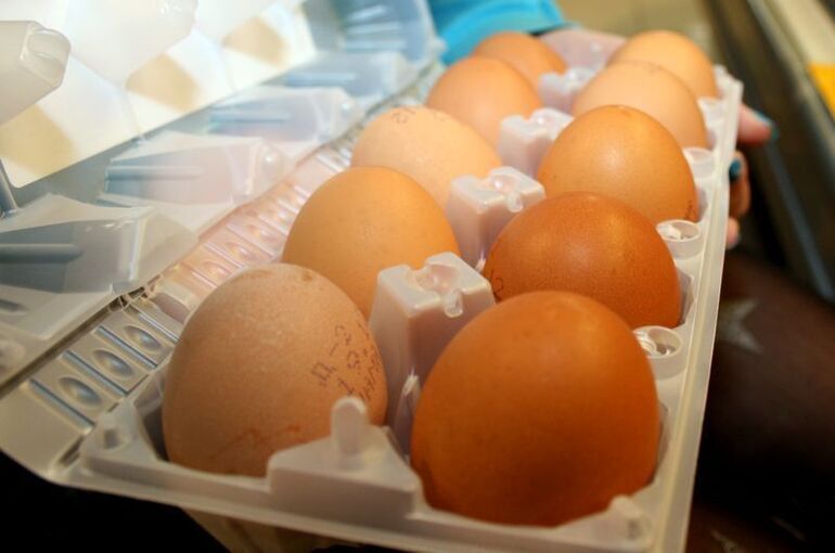 В России яйца подорожали на 10,5% с начала года