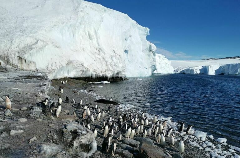 Ученые подтвердили существование гигантской «гравитационной дыры» под Антарктидой