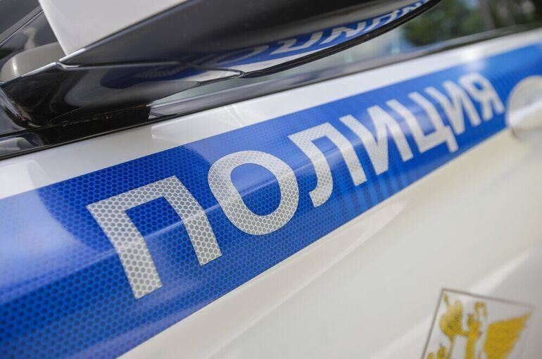 В Омске за зиму зарегистрировали почти 2800 преступлений