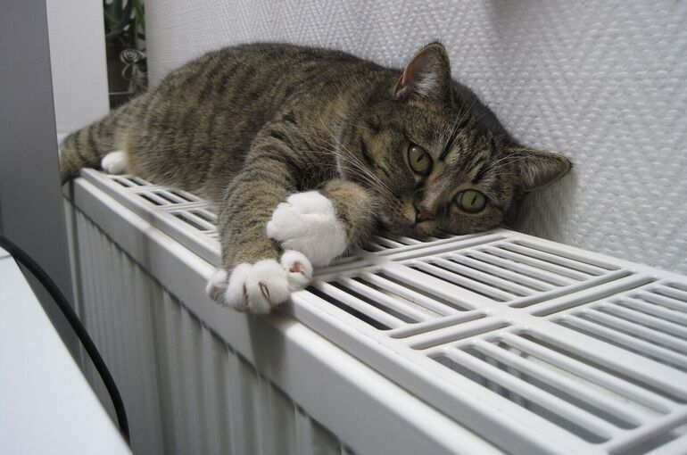 За самоуправство с батареями — штраф