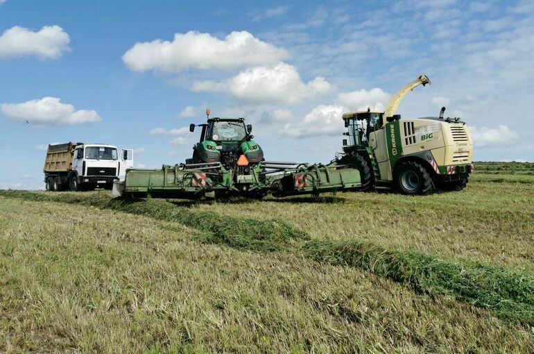 В Омской области выделили под посевные площади 2,9 млн гектаров