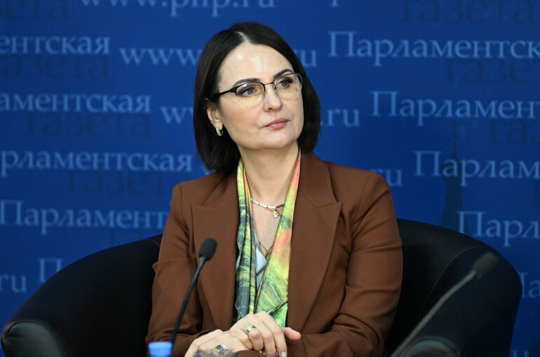 В России антимоскитные сетки предложили продавать только в комплекте с блокираторами окон