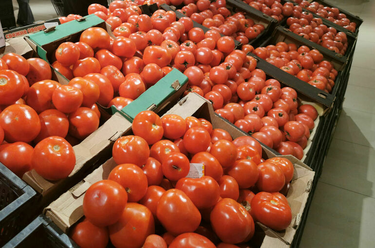 В Омск не пустили 19 тонн томатов с опасным вирусом