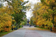 Куда пойти в Омске 9, 10, 11 и 12 октября.