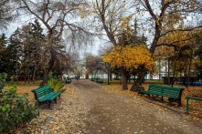 Куда пойти в Омске 6, 7 и 8 ноября