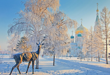 Куда пойти в Омске 23, 24, 25 и 26 ноября